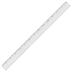 RULER 50CM.jpg